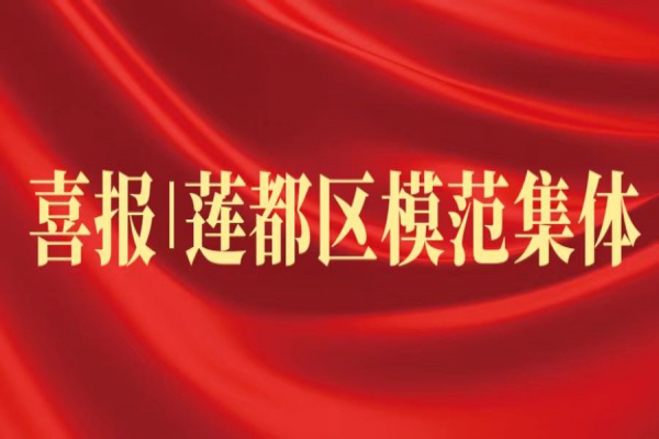 喜報(bào)丨浙江中立建設(shè)榮獲蓮都區(qū)“模范集體”稱號(hào)！
